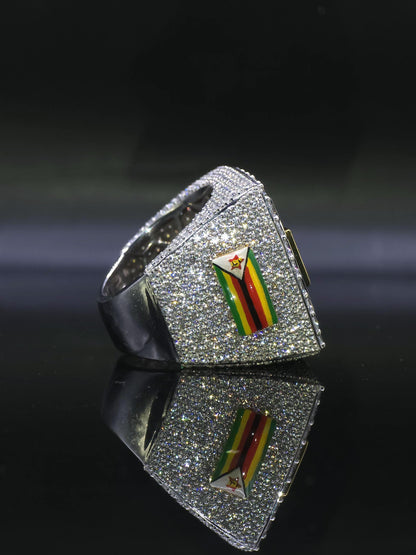 Custom Championship Style Ring for Men, Iced Out Moissanite Ring, Statement Ring, Personalized Name Ring, Hip Hop Jewelry